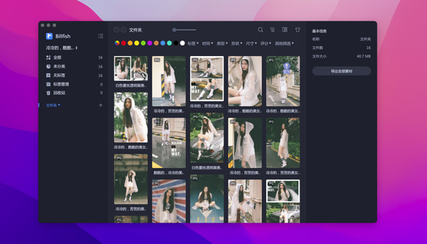 [Billfish for mac][v2.8.0.2 免费素材管理工具]插图2