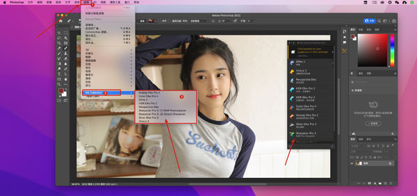 [Nik Collection 5 for Mac][v5.2.1][中文激活版][PS滤镜插件套装]插图4