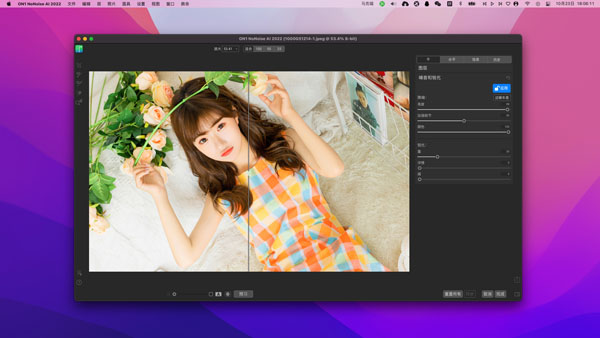 [ON1 NoNoise AI 2023 for mac][v17.0.1.12976][中文版][ai摄影降噪软件]插图1
