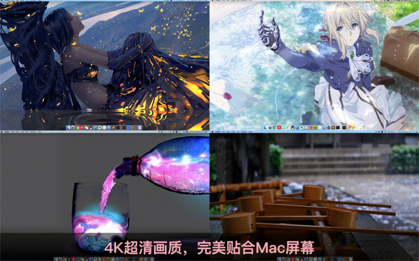 [花见 Live Wallpaper & Themes 4K Pro for Mac][v15.7 中文激活版][超高清4K动态壁纸]插图2