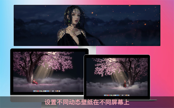 [花见 Live Wallpaper & Themes 4K Pro for Mac][v15.7 中文激活版][超高清4K动态壁纸]插图1