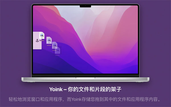 [Yoink][v3.6.84(130)][中文破解版][一款移动复制文件效率工具]插图5