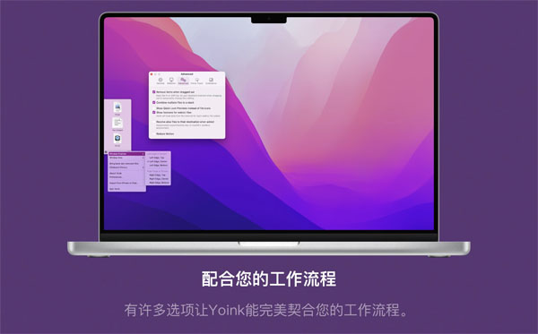 [Yoink][v3.6.84(130)][中文破解版][一款移动复制文件效率工具]插图7