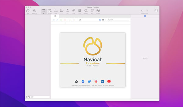 [Navicat Premium Essentials][v16.1.4][中文破解轻量版][强大的数据库管理工具]插图1