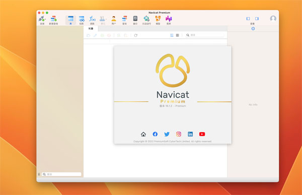 [Navicat Premium][v16.1.4][中文破解版][强大的数据库管理工具]插图1