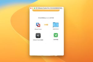 [VMware Fusion Pro 13 Mac][v13.0.0(20802013) 激活版][全新vm虚拟机]