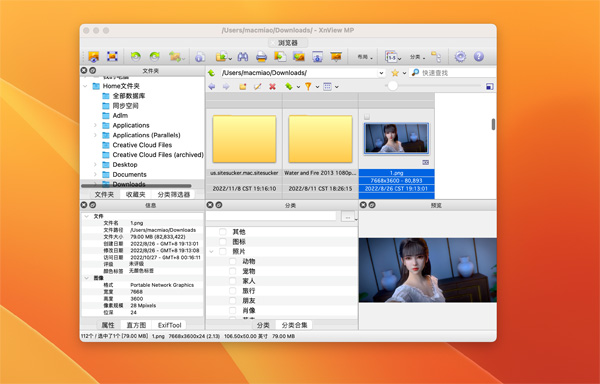 [XnViewMP for Mac][v1.3 激活版][图片浏览软件]插图3