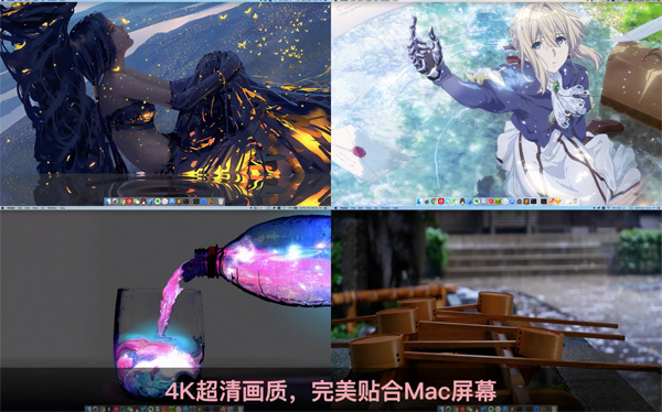 [花见 Live Wallpaper & Themes 4K Pro for Mac][v14.4 中文激活版][超高清4K动态壁纸]插图3