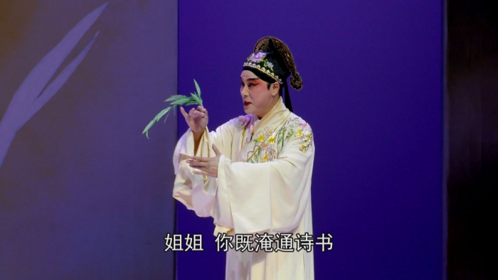 [BD蓝光大陆演唱会][昆曲 牡丹亭 上本五代同堂 下本三地联动 Kunqu Opera The Peony Pavilion 2017][ISO 2BD][80.25G][百度云]插图2