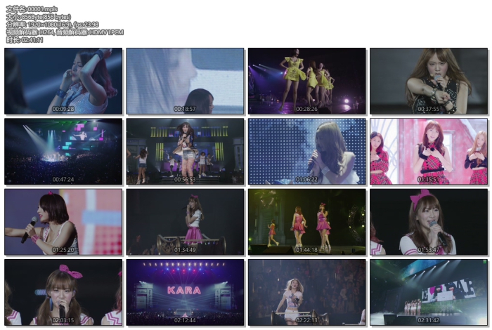 [BD日本演唱会][KARA日本二巡演唱会 – KARASIA 2nd Japan Tour 2013][ISO][41.9G][百度云]插图2