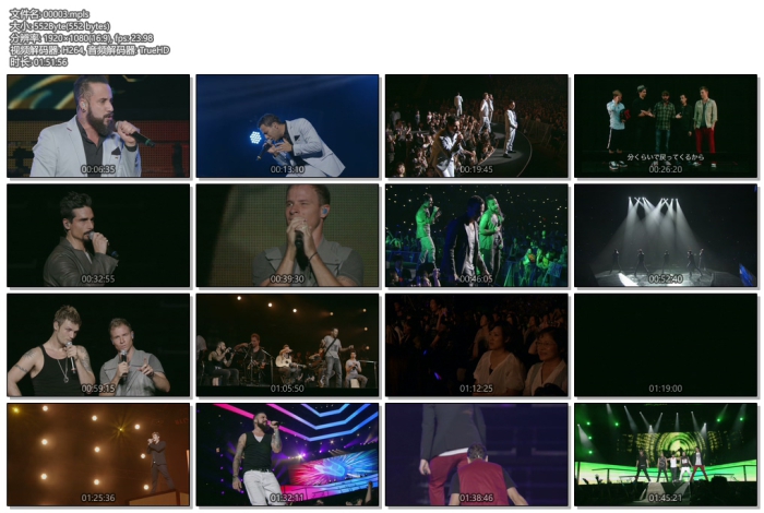 [BD日本演唱会][后街男孩 2013世界巡演日本琦玉站 BackStreet Boys In A World Like This Japan Tour][2BD ISO][44.9G][百度云]插图1