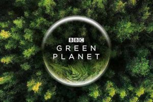 《绿色星球 The Green Planet》[4K蓝光109G珍藏版][全5集中字][百度网盘]