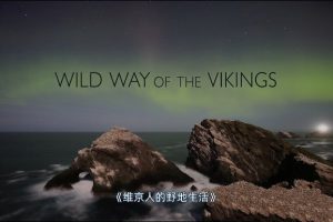 《维京人的野地生活 Wild Ways of the Vikings》[1080P/MP4][全1集中字][2.18G][百度网盘]