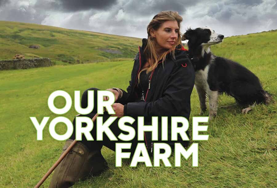 《约克郡农场 Our Yorkshire Farm》[1080P/MKV][第1季全4集 英语无字 官方纯净版][12.4G][百度网盘]插图