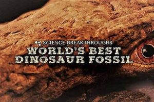 《世界上最好的恐龙化石 World’s Best Dinosaur Fossil》[720P/MP4][英语无字][501M][百度网盘]