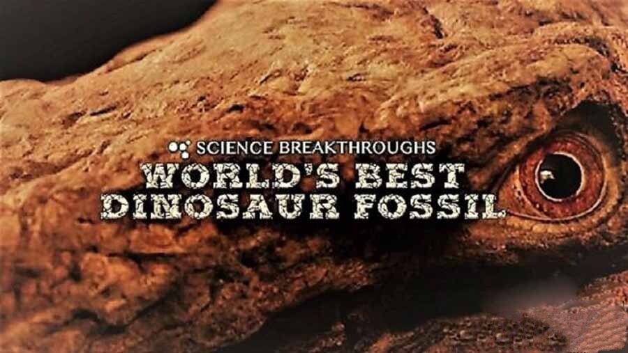 《世界上最好的恐龙化石 World’s Best Dinosaur Fossil》[720P/MP4][英语无字][501M][百度网盘]插图