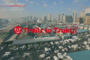 《筑地足迹—黄瓜 Trails to Tsukiji-Cucumber 2017》[720P/MP4][英语无字][455M][百度网盘]