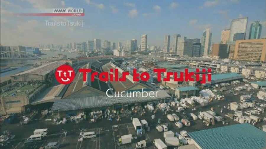 《筑地足迹—黄瓜 Trails to Tsukiji-Cucumber 2017》[720P/MP4][英语无字][455M][百度网盘]插图