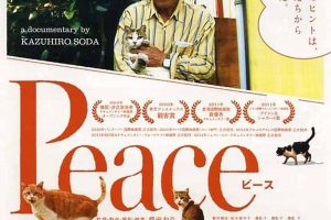 《完全和平手冊 Peace 2010》[720P/MP4][日语中字][907M][百度网盘]