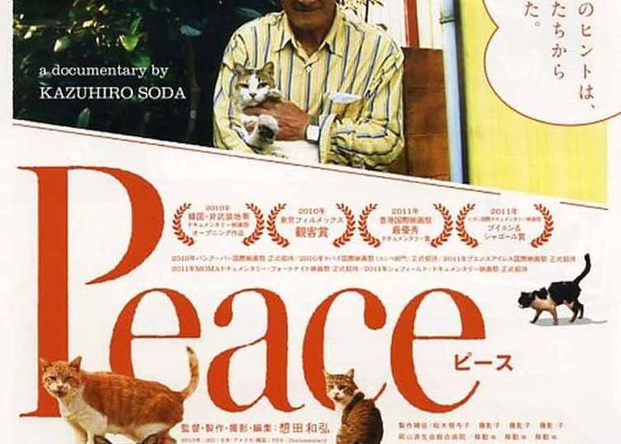 《完全和平手冊 Peace 2010》[720P/MP4][日语中字][907M][百度网盘]插图