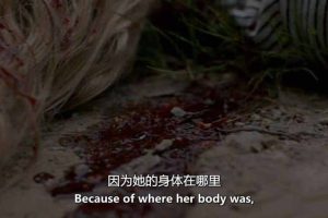 《魔鬼住在这：死亡阴影 Evil Lives Here: Shadows of Death 2022》[1080P/MKV][第4季 英语中英双字 官方纯净版][8.36G][百度网盘]