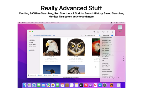 [ProFind for Mac][v1.17.0激活版][mac文件搜索工具]插图6