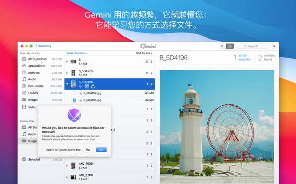 [Gemini 2 for Mac][v2.9.8中文激活版][最好用的重复文件查找工具]插图7