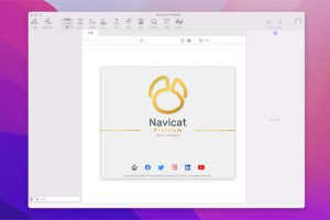 [Navicat Premium Essentials][v16.1.5 中文破解轻量版][强大的数据库管理工具]