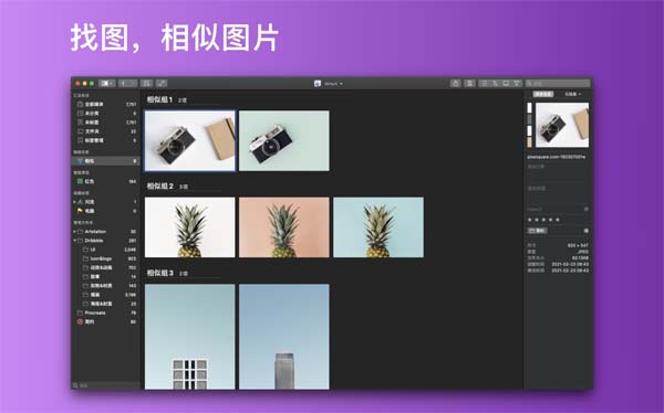 [Picsee for Mac][v1.5.6 中文破解版][最好的图片管理查看工具][正版]插图7