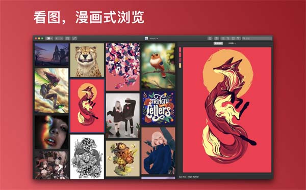 [Picsee for Mac][v1.5.6 中文破解版][最好的图片管理查看工具][正版]插图11