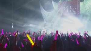 [BD日本演唱会][Pile 2015 Pinky Parade Tour ディファ有明公演][ISO][22.07GB][百度云]插图1