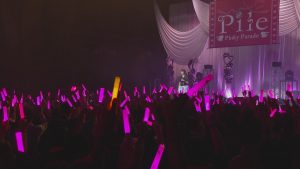 [BD日本演唱会][Pile 2017 武道馆演唱会][BDMV][44.14][百度云]插图4