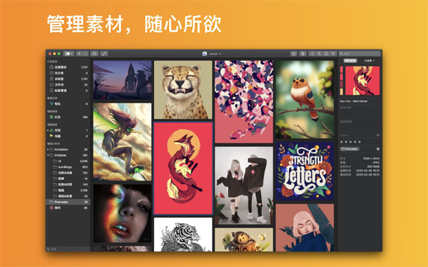 [Picsee for Mac][v1.6.3(97) 中文破解版][最好的图片管理查看工具]【社区版】插图4