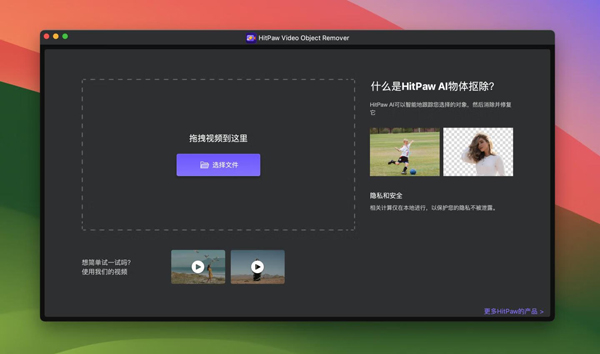 [HitPaw Video Object Remover for Mac][v1.2.0 Ai自动删除视频背景不需要的对象]插图1