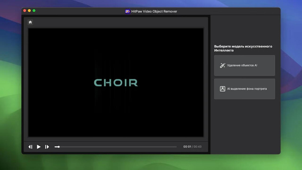 [HitPaw Video Object Remover for Mac][v1.2.0 Ai自动删除视频背景不需要的对象]插图4