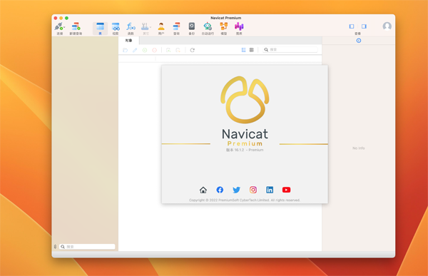 [Navicat Premium][v16.2.5 中文破解版][强大的数据库管理工具]插图1