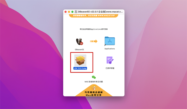 [DBeaverEE for Mac][v23.1.3 企业版][数据库管理]插图3