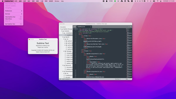 [Sublime Text][v4.0(4152)中文破解版][超棒的代码编辑器]插图