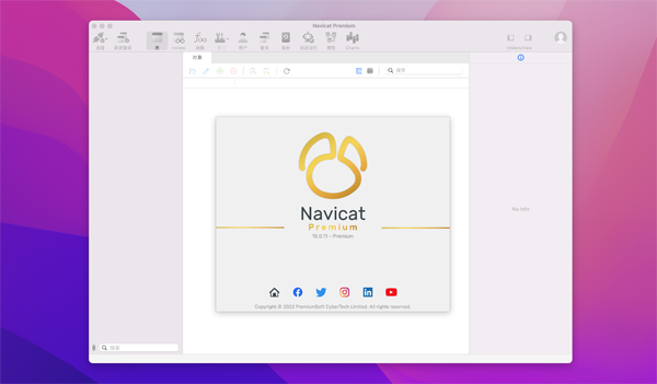 [Navicat Premium Essentials][v16.1.9 中文破解轻量版][强大的数据库管理工具]插图1