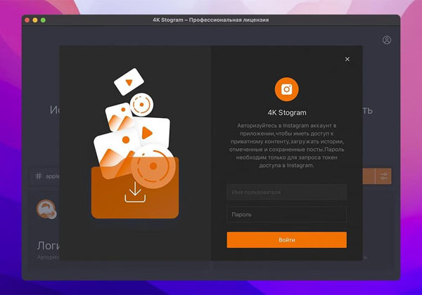 [4K Stogram Pro for Mac][v4.6.2免激活版][Instagram下载软件]插图4