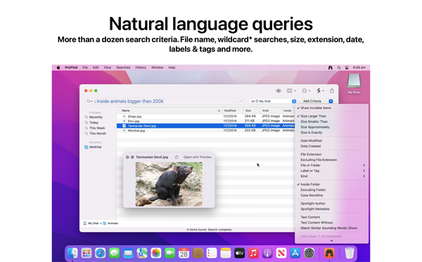 [ProFind for Mac][v1.21.2激活版][mac文件搜索工具]插图2