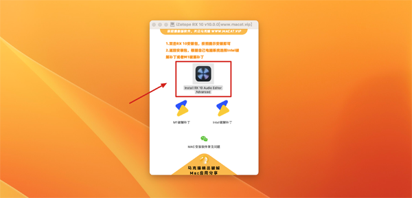 [iZotope RX 10 for Mac][v10.0.0激活版][专业音频修复软件]插图2