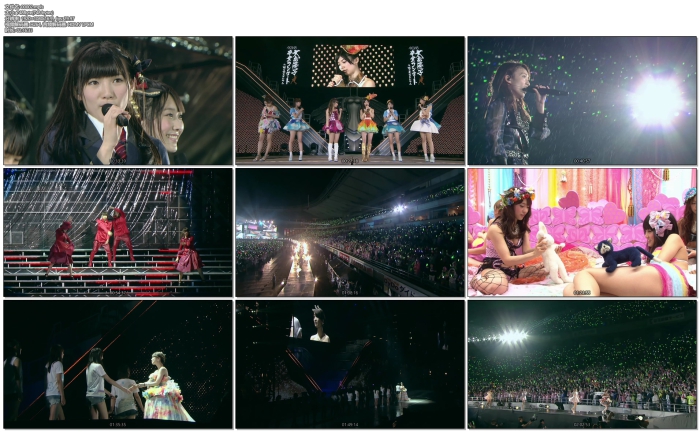 [DB日本演唱会][AKB48 大岛优子毕业演唱会2014][BDMV 6碟][198G][百度云]插图3